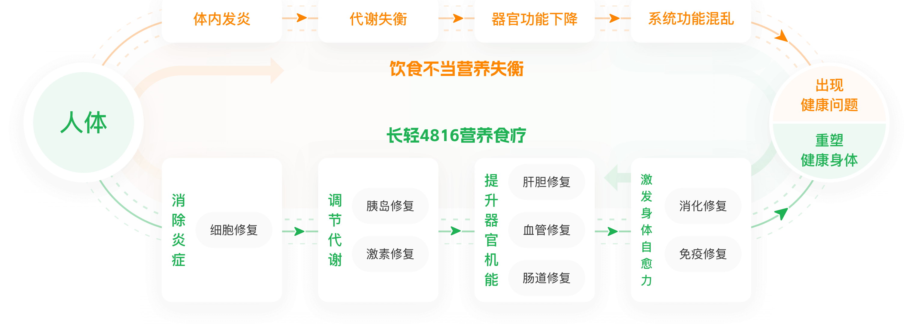长轻4816营养食疗体系